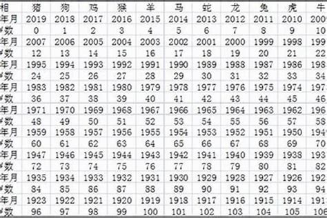 2000 年属什么|2000出生属什么生肖查询，2000多大年龄，2000今年几岁